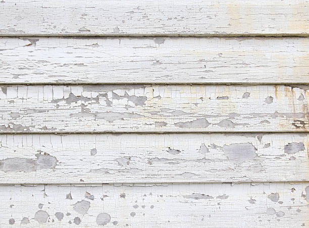 Best Carpet Removal and Disposal  in Dillingham, AK